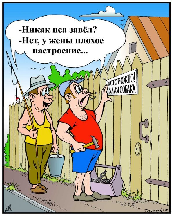 Изображение из открытых источников