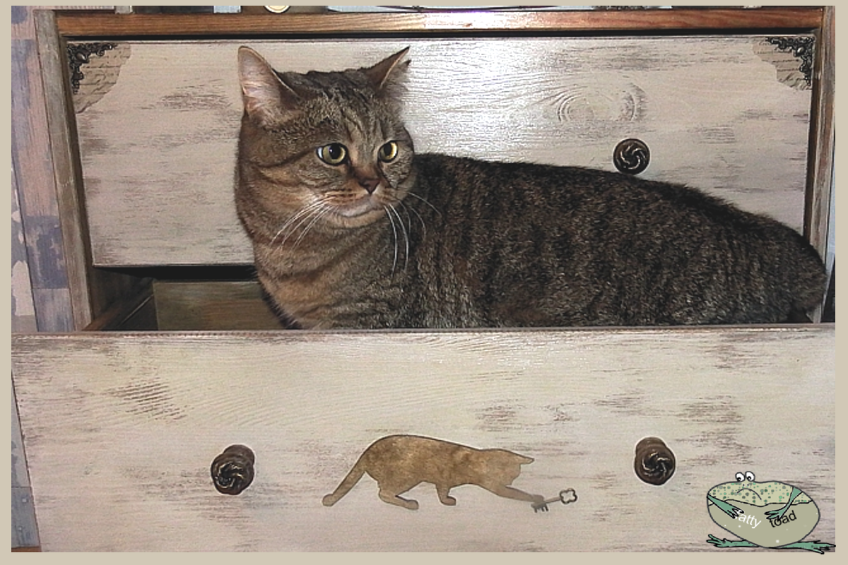 Картинки для декупажа Коты | Кот и кошка