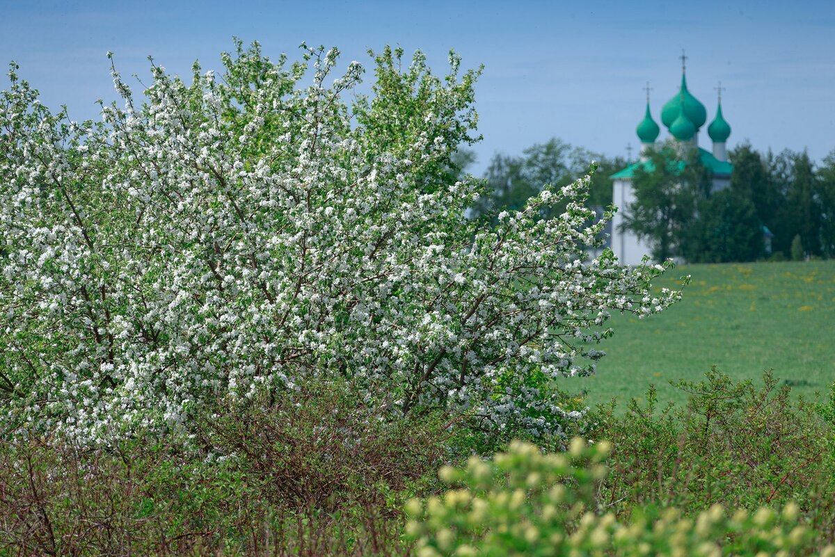 Вид на храм Сергия Радонежского. Фото Романа Солопова