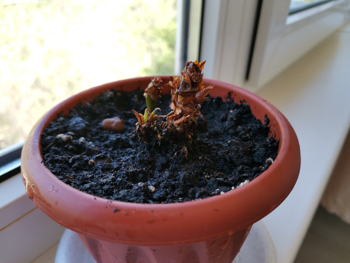 Мой бедолажка😭 