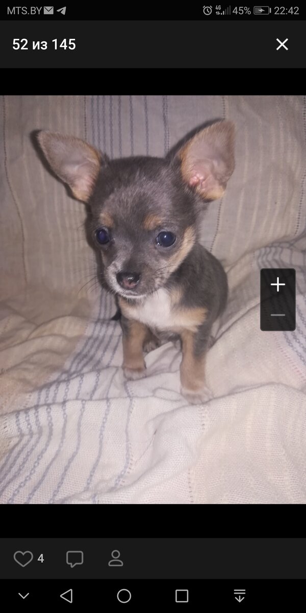 Сынок Флешки Гугл! 