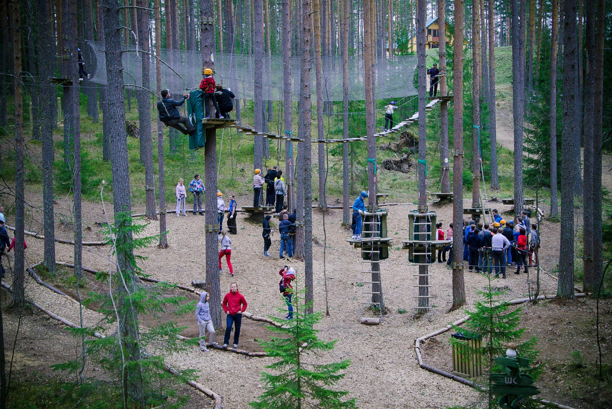 Norway park москва. Орех норвежский парк Орехово. Орехово Ленинградская область веревочный парк. Верёвочный парк Орехово в СПБ. Веревочный городок орех норвежский парк.