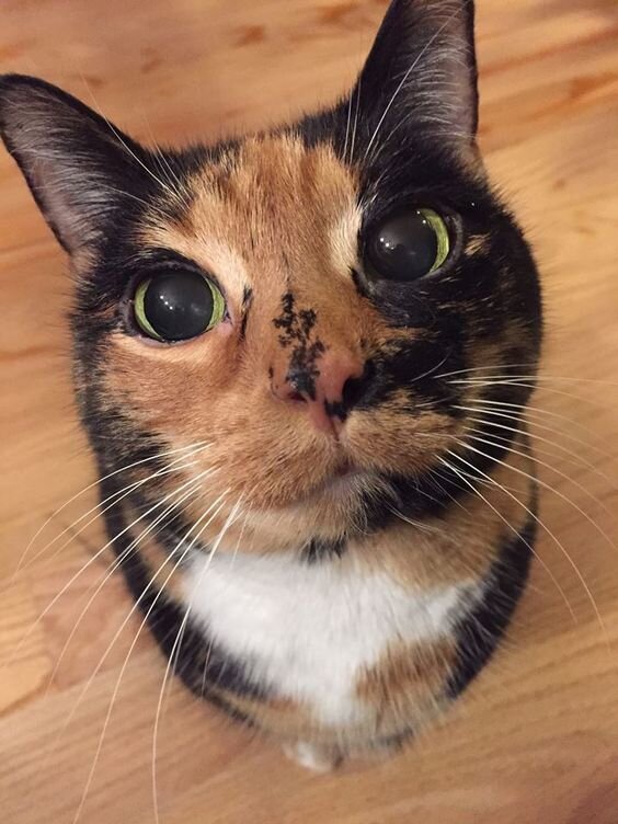 фото использовано в качестве иллюстрации. Источник "Яндекс.Картинки"