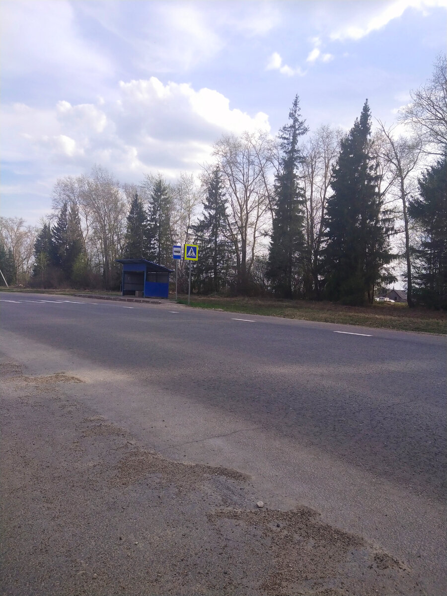 Где то в Кировских лесах