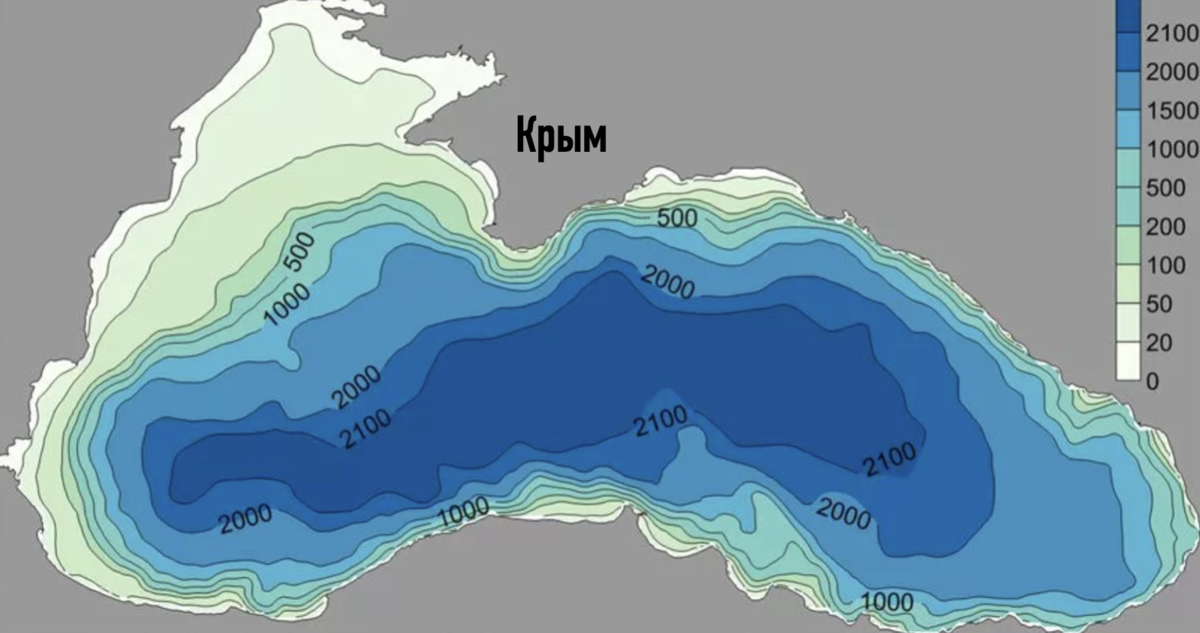 Карта дна черного моря с рельефом. Рельеф дна черного моря. Чёрное море глубина рельеф дна. Рельефдна черногом моря. Глубина черного средняя и максимальная