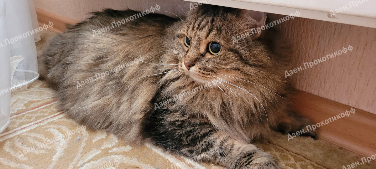 Смел и прекрасен!