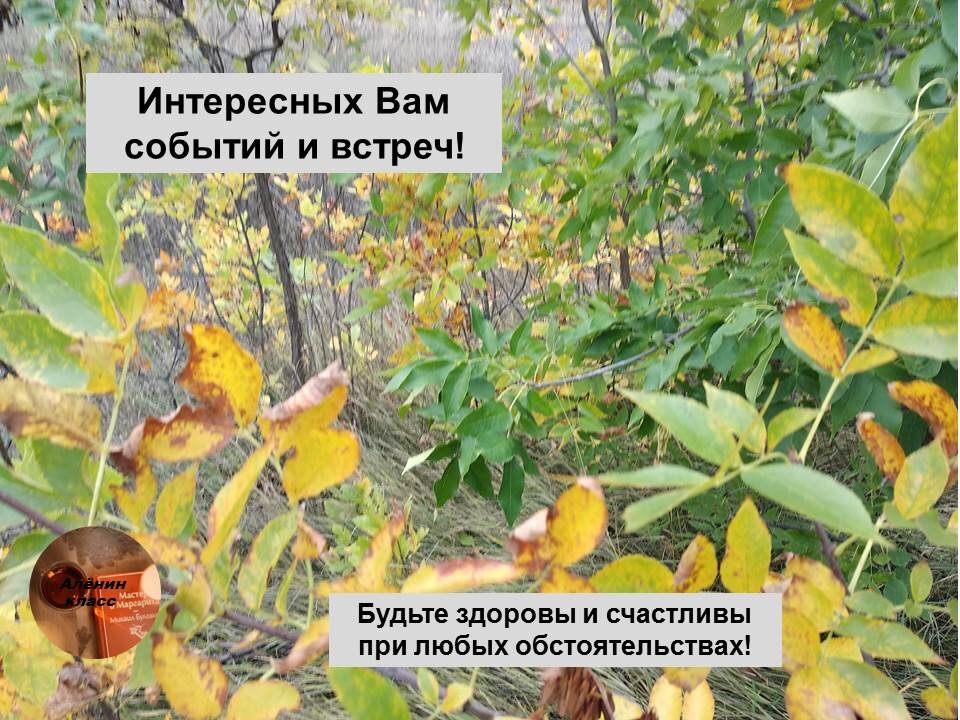 пожелания от автора