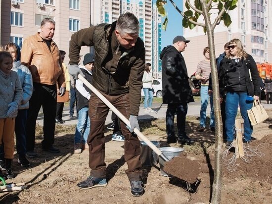     Фото: Администрация Ростова