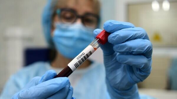   © Sputnik / Алексей Майшев