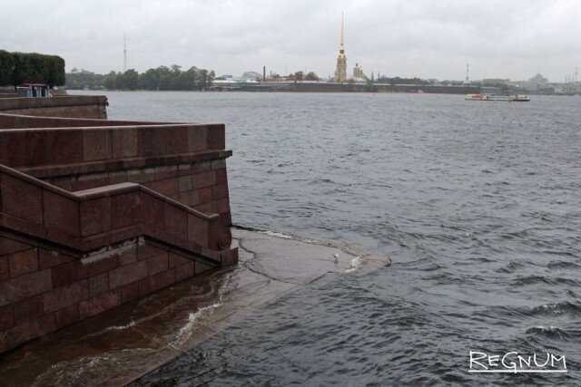    Акватория Невы Дарья Драй © ИА REGNUM