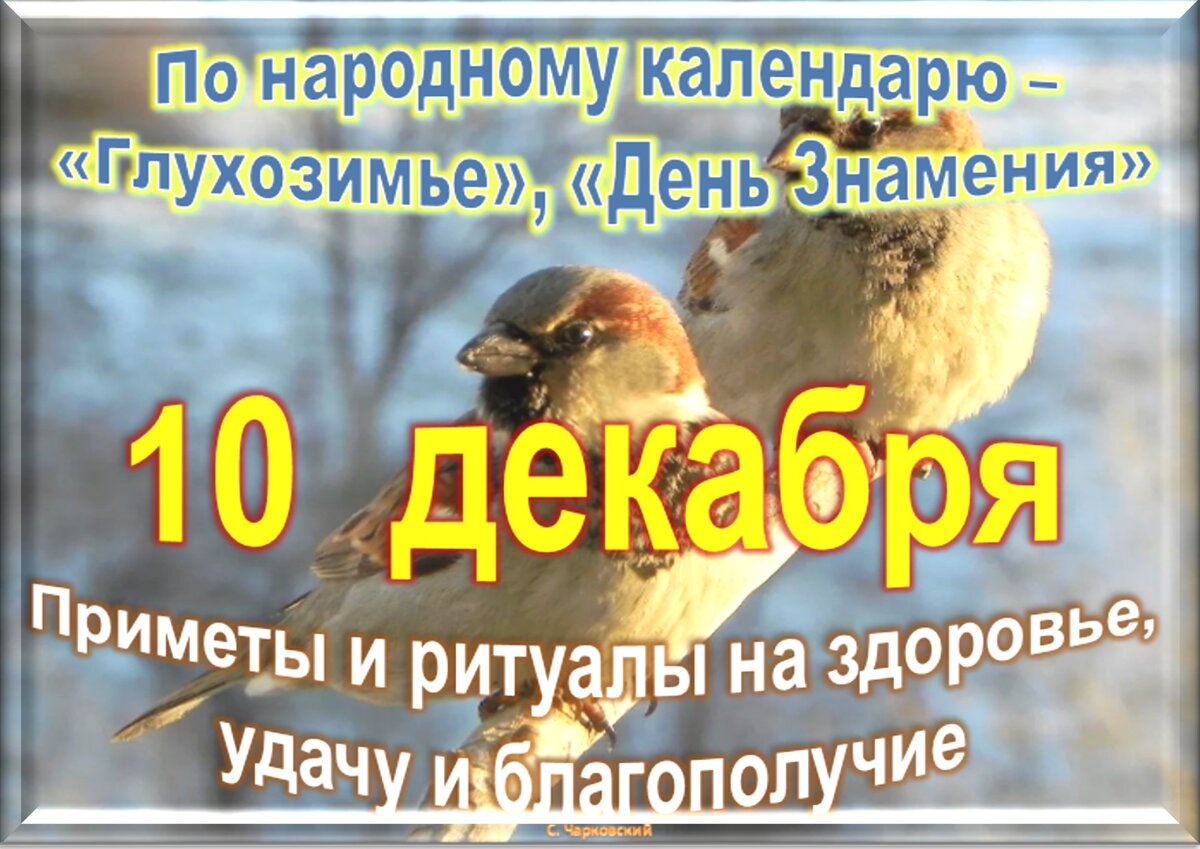 Встречаем новый день