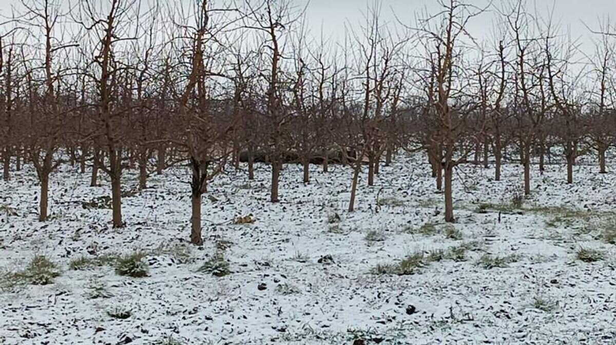    Место падения части ракеты в Бричанском районе Молдовы© Фото : Poliţia de Frontieră a Republicii Moldova