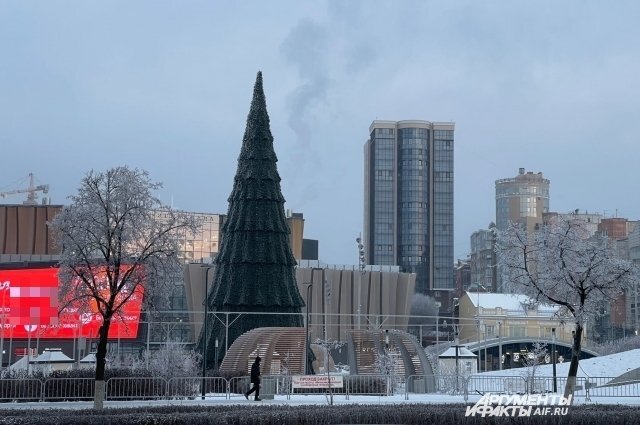    Как зовут пермскую ёлку?