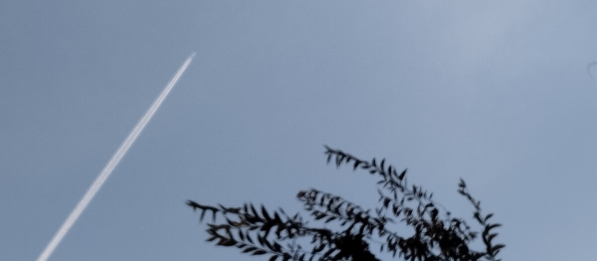 Стрела полёта (фото автора) 