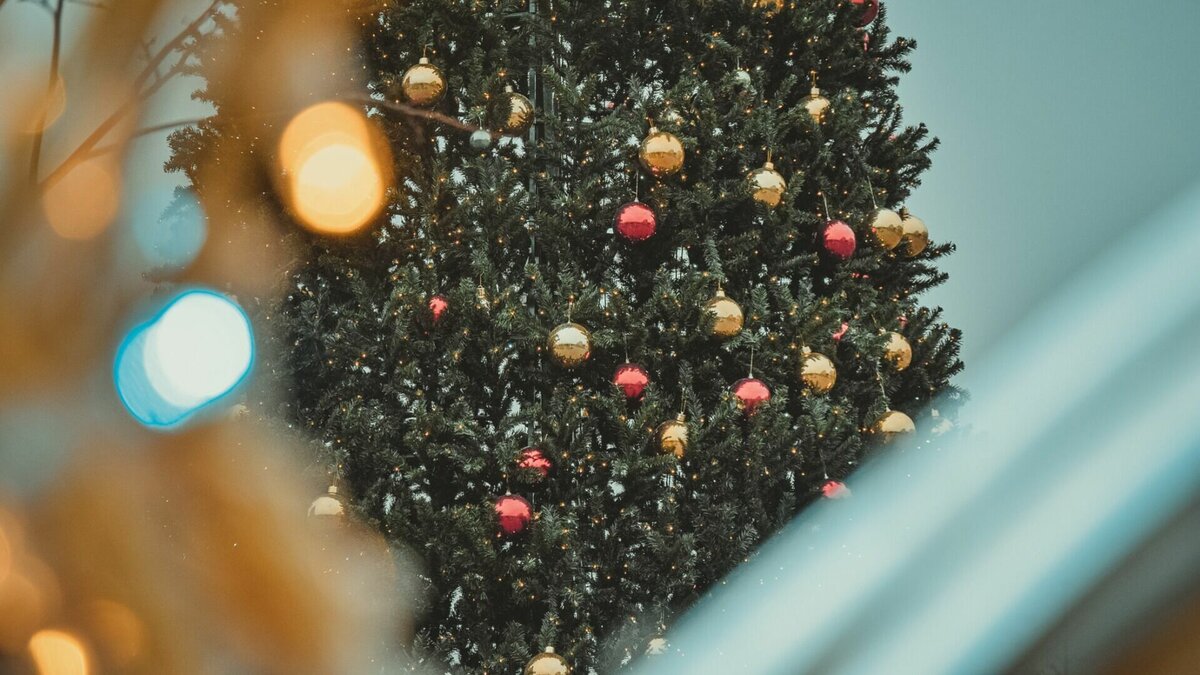     Детей в Нижнем Новгороде приглашают на уникальное новогоднее шоу под названием «Кремлевская елка». Показы пройдут в филармонии имени М. Ростроповича, сообщили в областном правительстве.