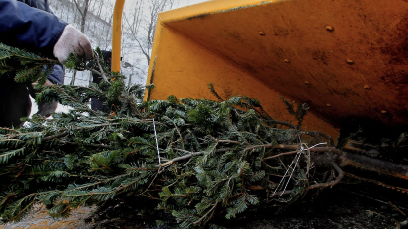   РИА Новости Виталий Аньков