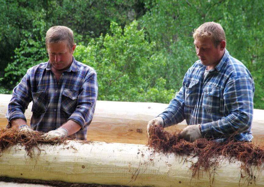 Утепление бревен мхом.