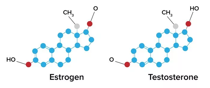 Источник фотографии: Яндекс картинки