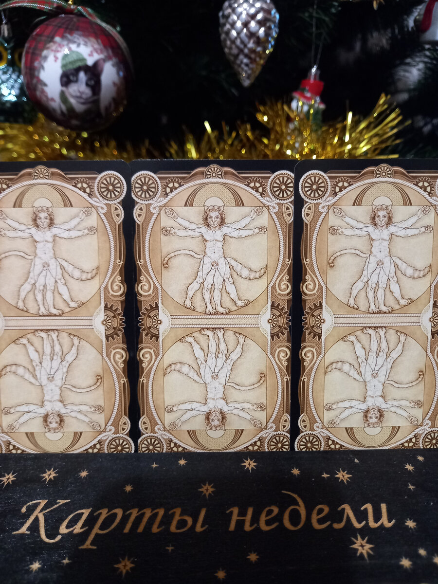 Выбираем карту!