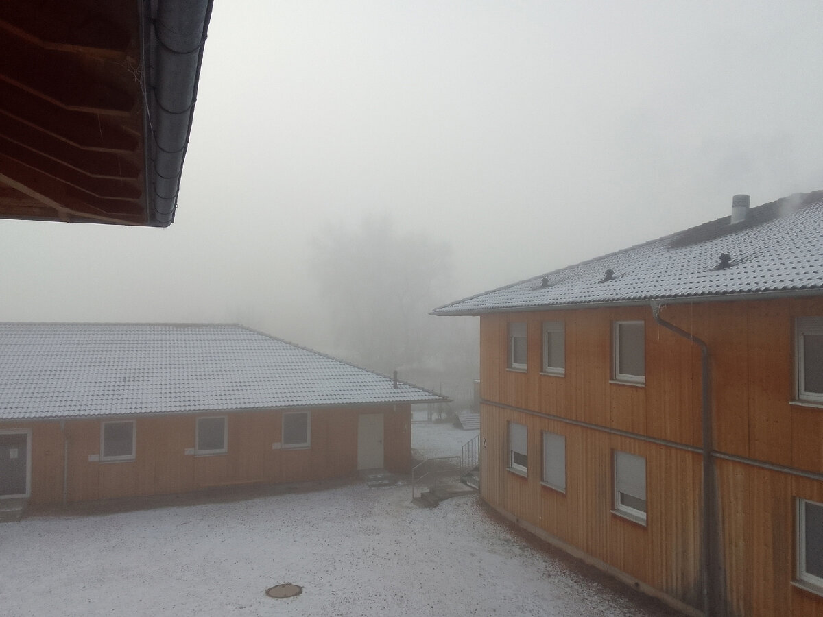 Место, в котором проживает «фрау» Гольдина. Фото: vk.com/Каталиса Гольдина. 