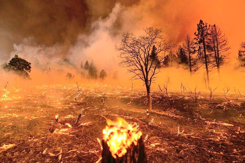   Ландшафтный (природный) пожар: определение, причины, тушение