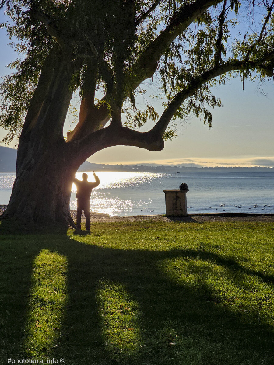 Эвкалиптовый парк, Сухум. Фото: Корчагина Татьяна 