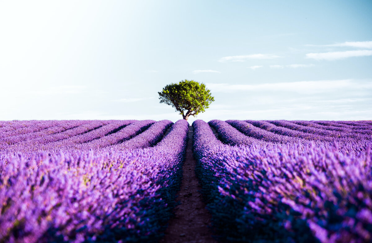 Фото с бесплатного фотоистока https://unsplash.com, автор Simon Spring