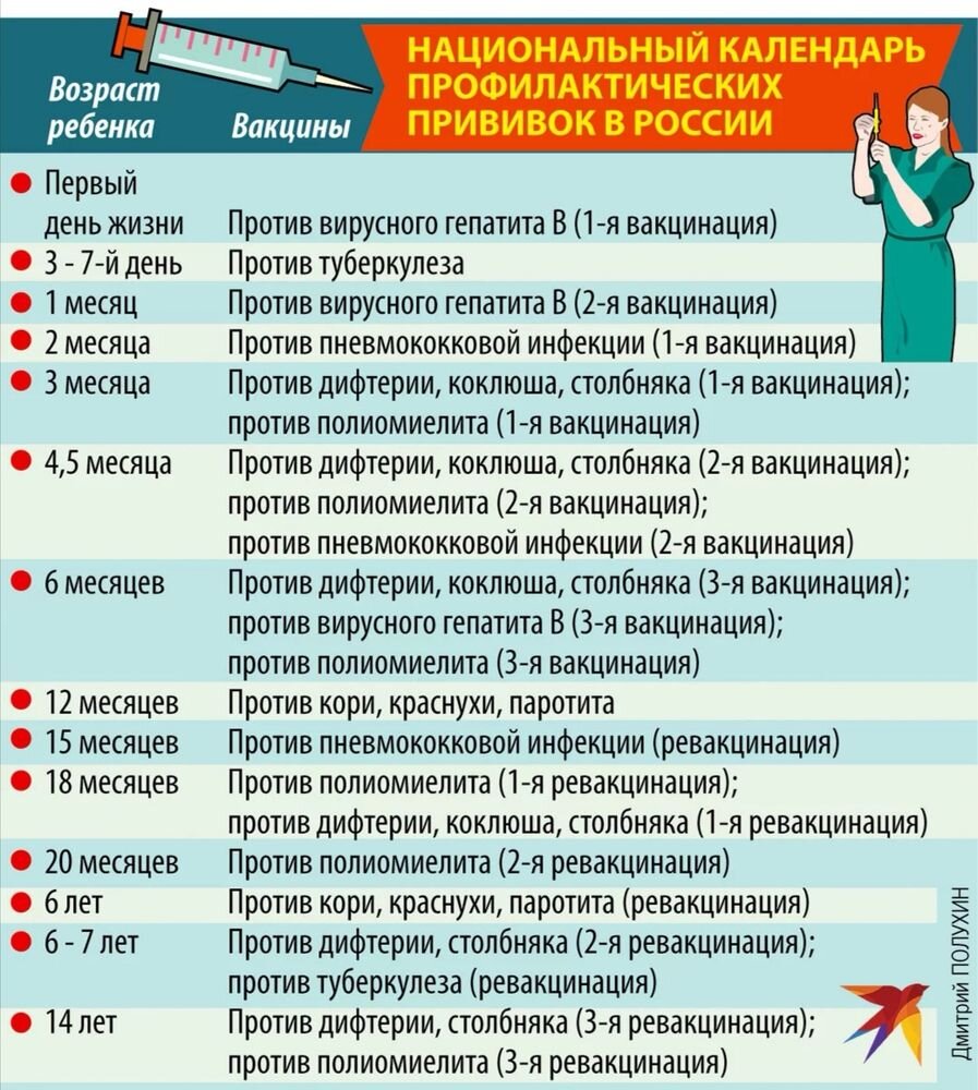 Прививки по нацкалендарю. Ставить нельзя пропускать | Провинциальные  истории | Дзен