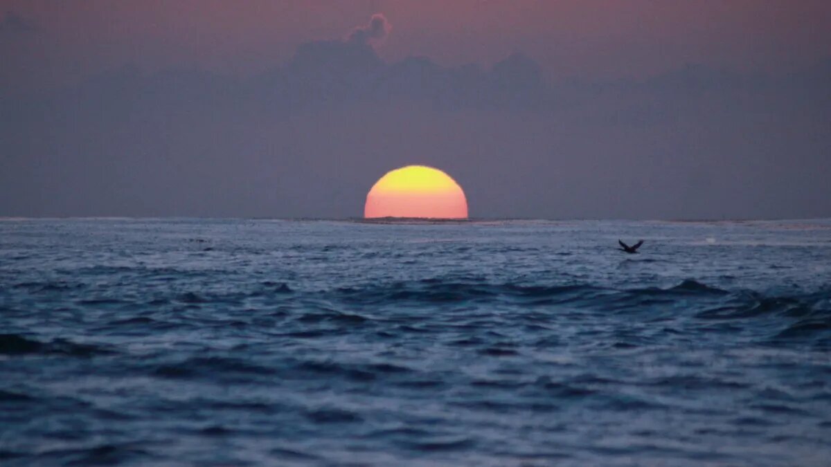 Колебания геомагнитного поля Земли на январь - что больше. Фото: www.piqsels.com