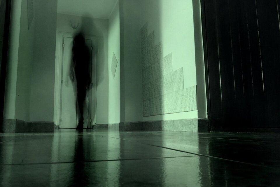 Изображение взято из открытых источников интернета. 