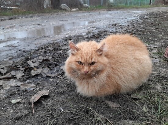     Фото: Евгений Кузнецов