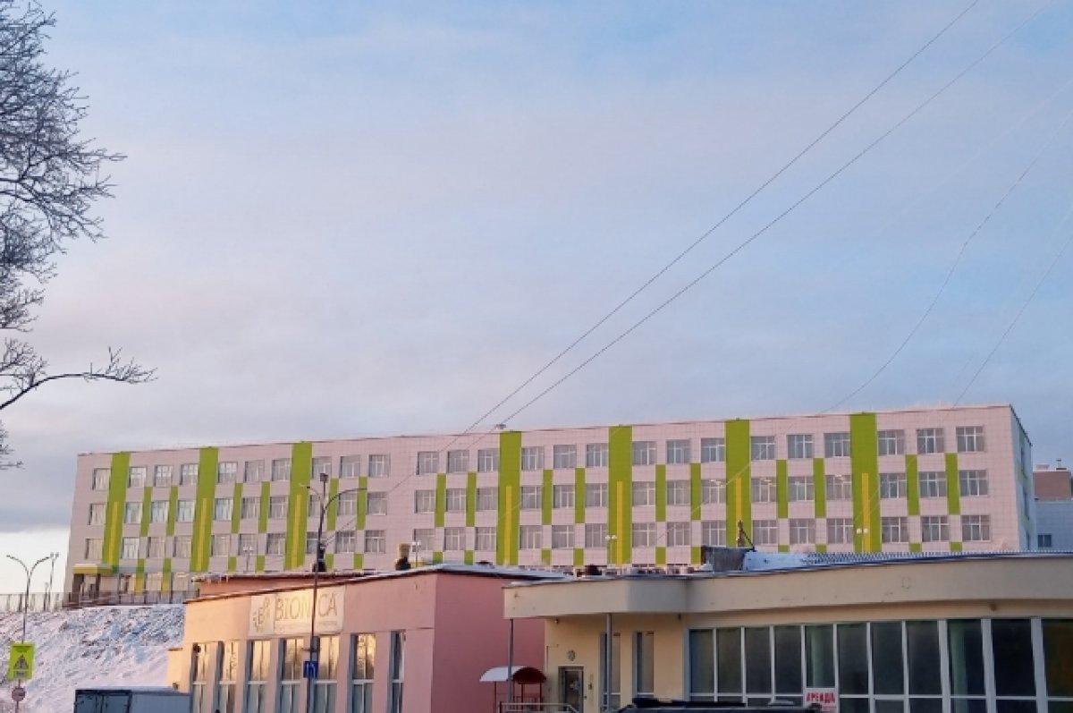    В Заполярье 30 января стартует сбор заявок для отбора в «Арктическую школу»