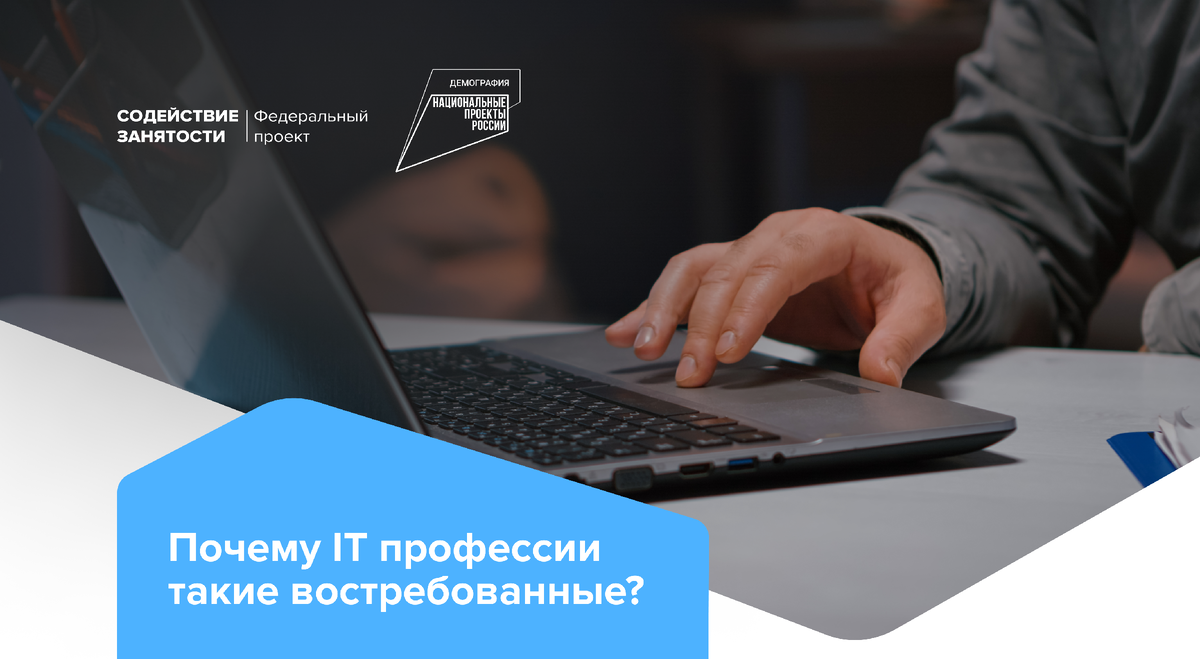 Почему IT-профессии такие востребованные | Федеральный проект «Содействие  занятости» | Дзен