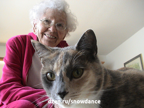 История пожилой дамы тронула сердца людей - для ее кошек найдены дома
