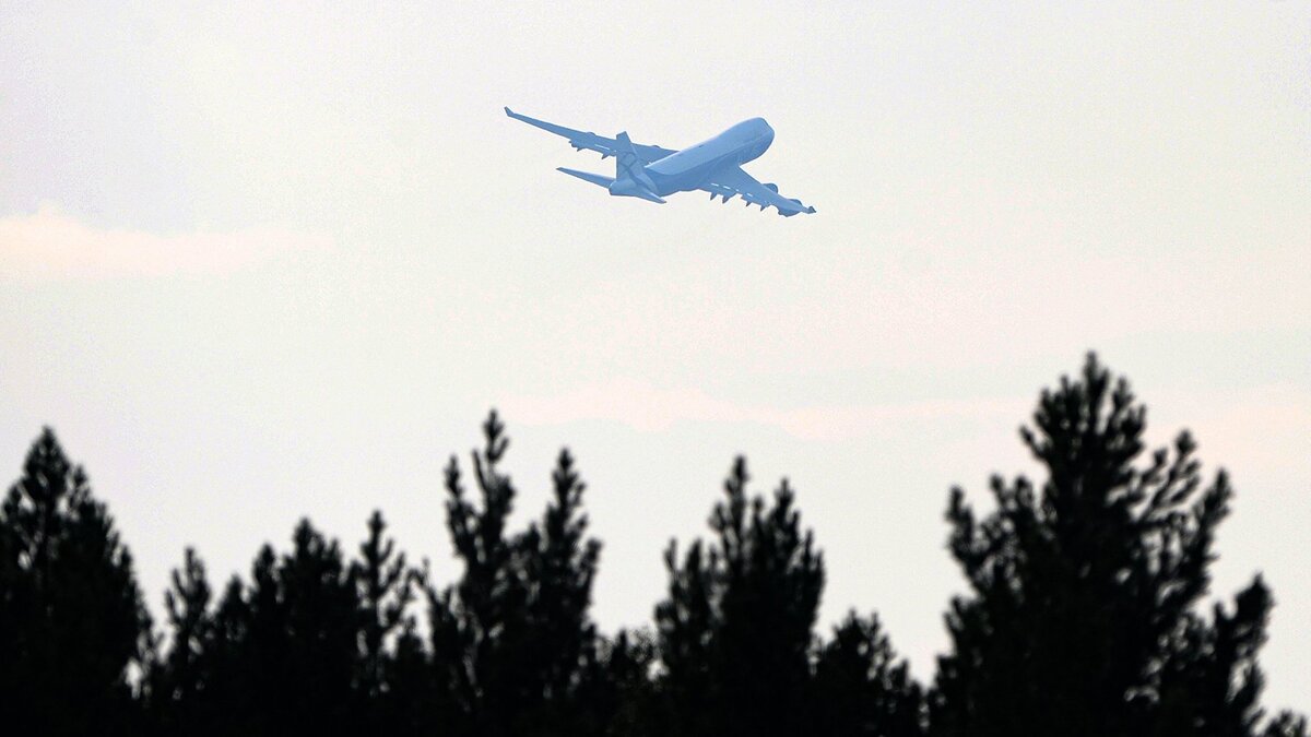    Самолет над лесным массивом© РИА Новости . Илья Наймушин