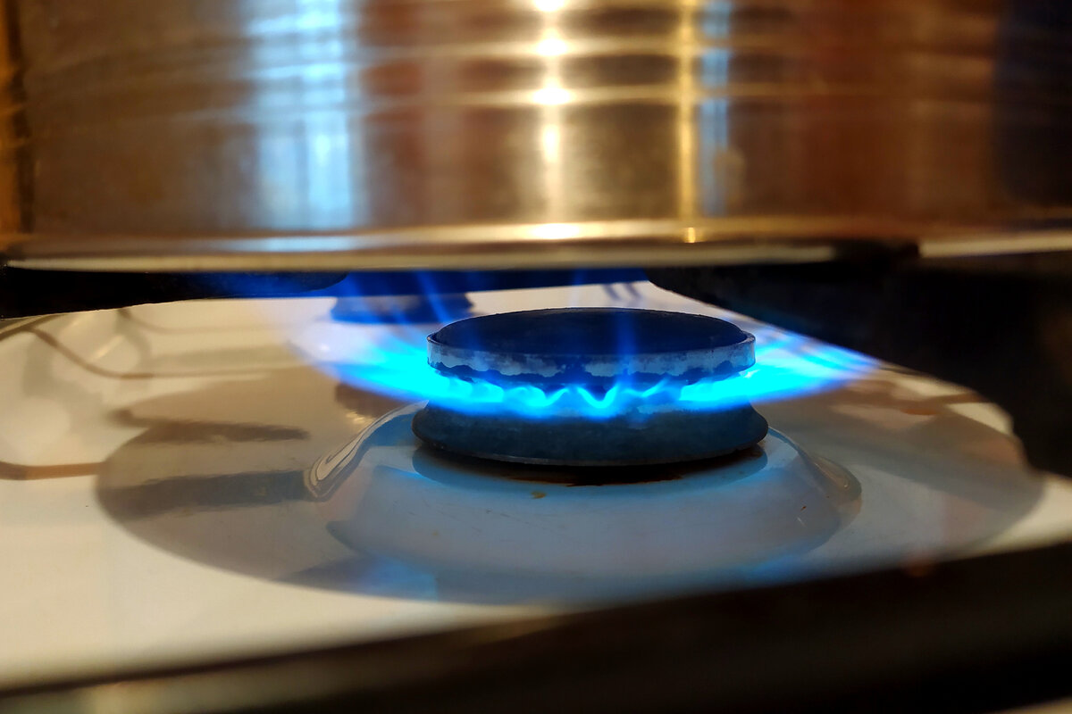 Фото: Maksim Konstantinov/Globallookpress