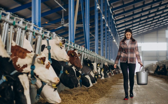 Фото: freepik.com 