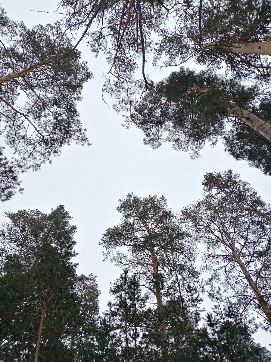 Красота вокруг и покой