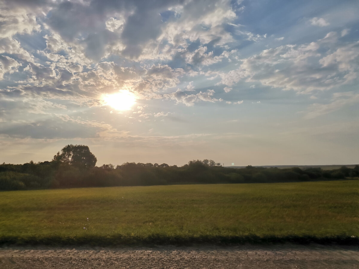 Поле. Просто поле из окна машины. Фото автора
