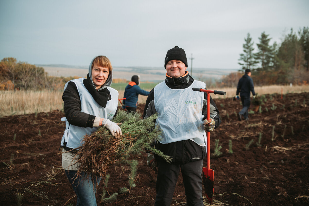 Россиянки подарили мужчинам посадки леса на миллион рублей в 2022 году