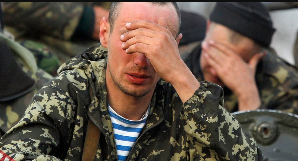 из открытых источников