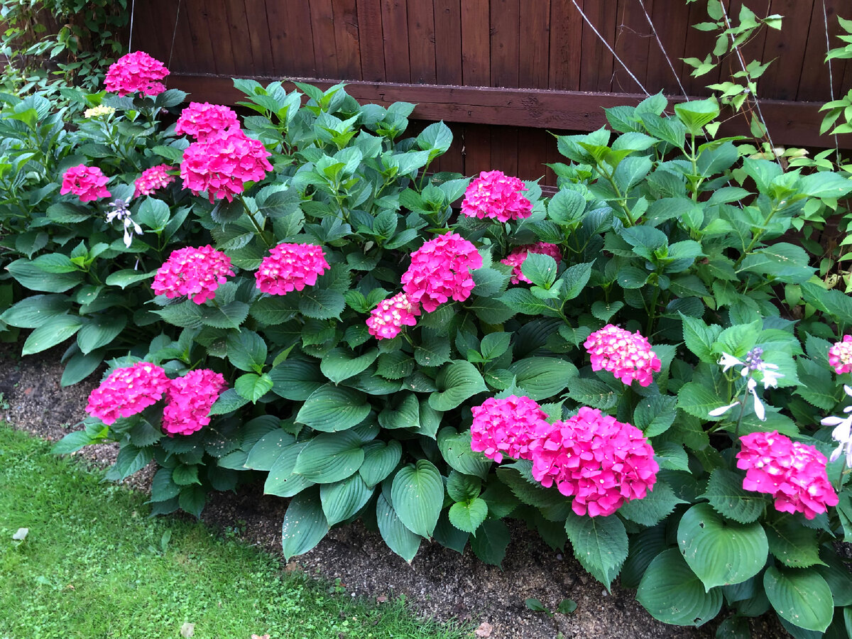 Личное фото 