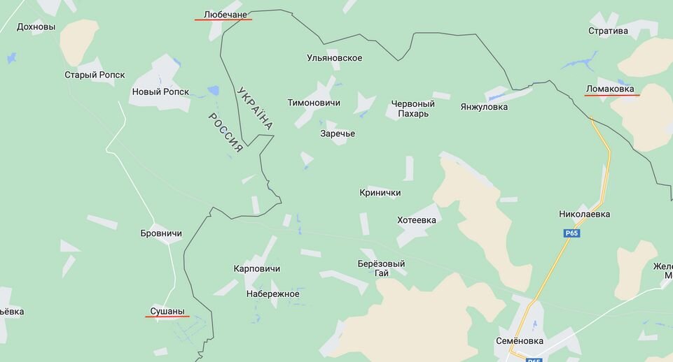 Скриншот Google Maps📷
