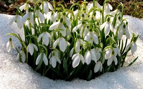 фото Яндекс