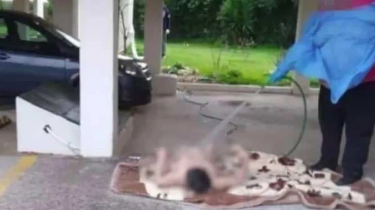 Фото: grtimes.gr