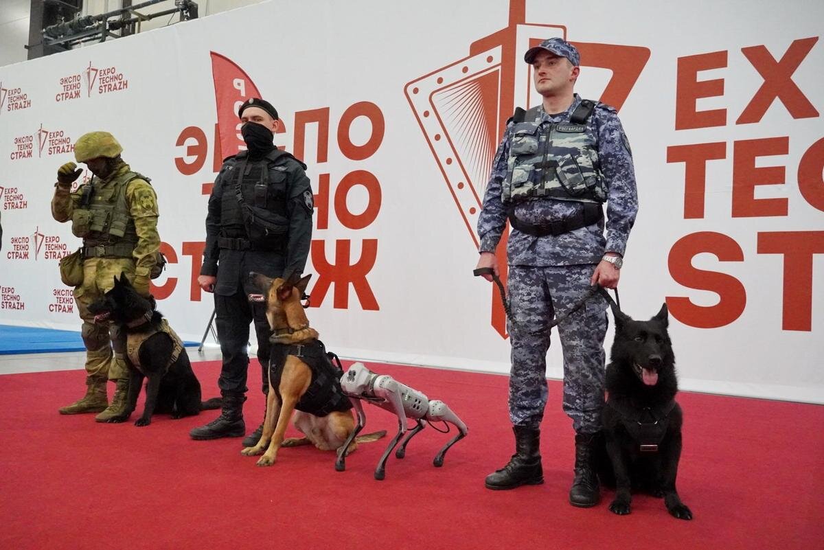 Фото: пресс-служба Северо-Западного округа Росгвардии