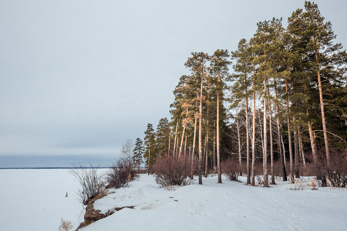 Бердск обское море