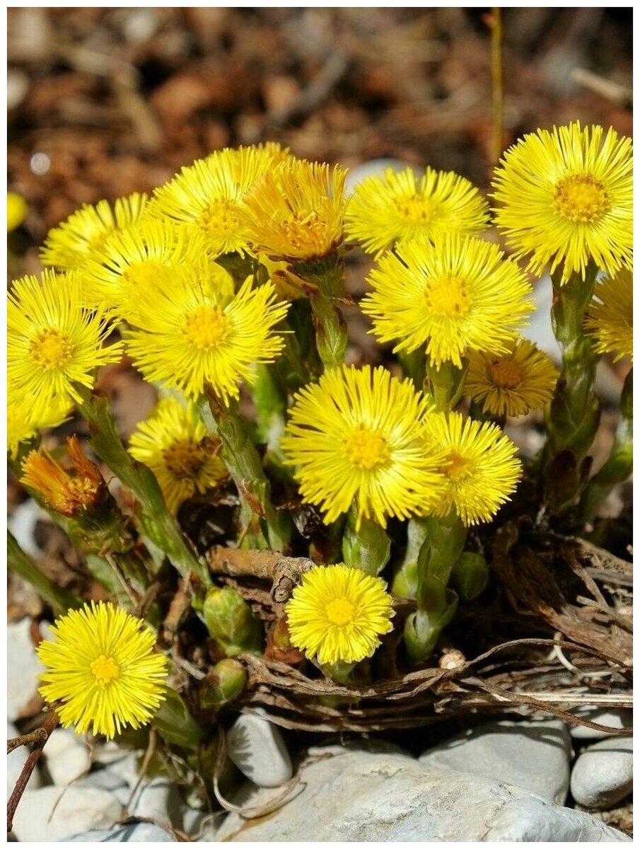 Фото из открытого источника 