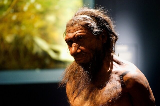    Неандерталец. Фото: Flickr.com