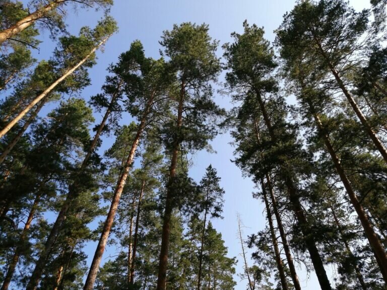    Оренбуржье в числе 30 регионов вошло в федеральный проект «Земля для туризма» Марина Шарт